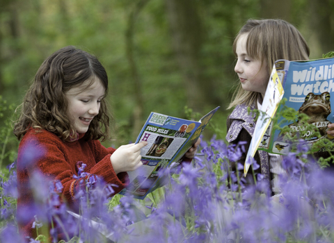 Bluebells WATCH