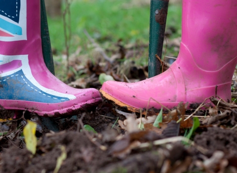 Wildlife gardening (c) Tom Marshall